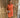 Jurk 51601