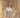 Satinlook top v-hals Shimmy