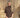 Truitje turtleneck knopen Hillary