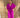 Jurk gesmockte middel PLUS SIZE