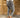 ZN021-3 skinny