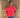 Scuba t-shirt glitters Pleun
