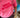 Sweater shortsleeve city katoen