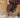 Short Senne